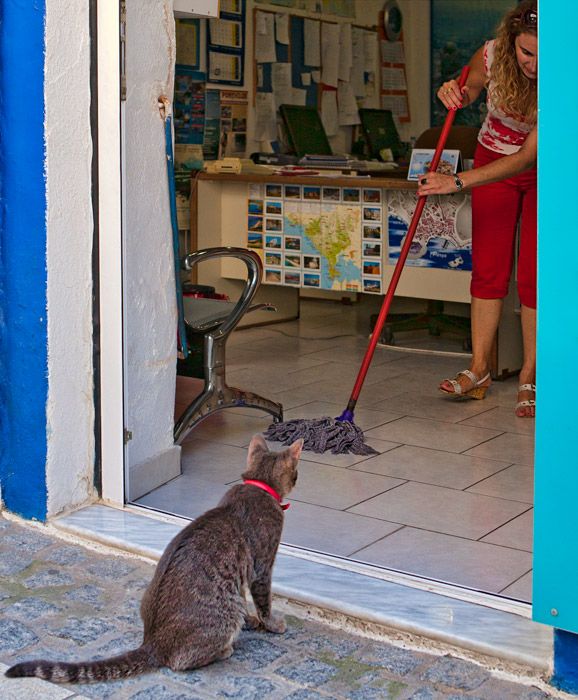 Hunting a mop - tourist agency, Parga