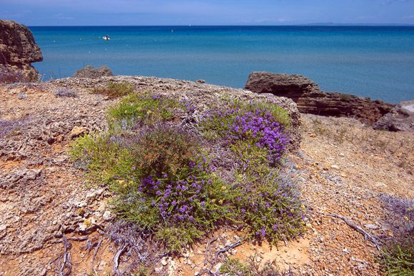 Between two beaches