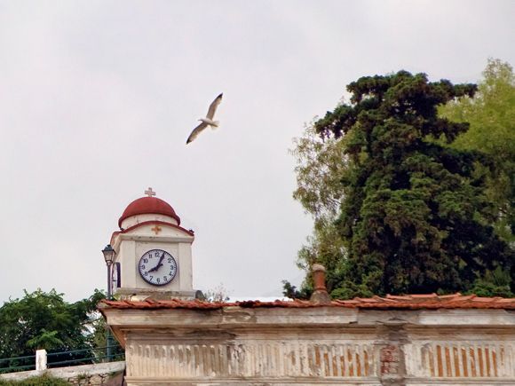 Seagull is checking the time :-)