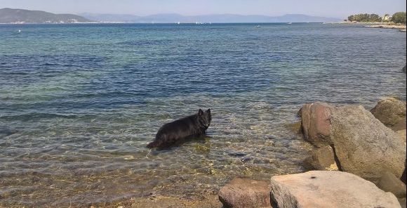 Hot summer...fresh water...aAegina
