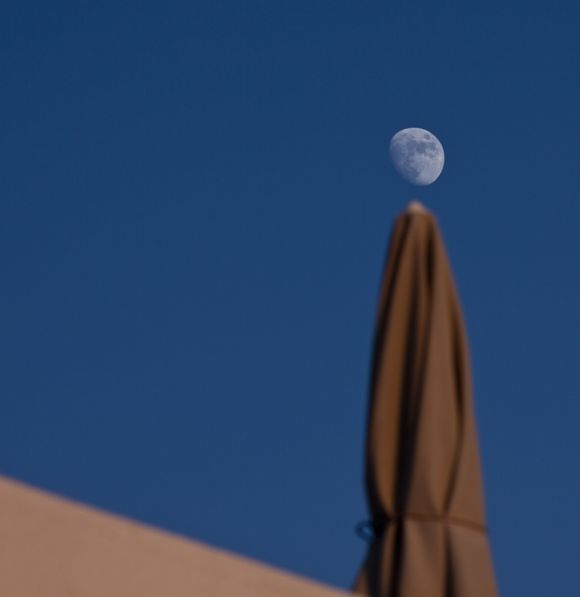 moon on the stick