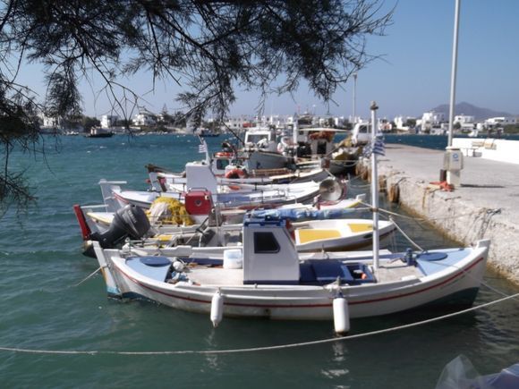Boats in the Harbour at Pollonia