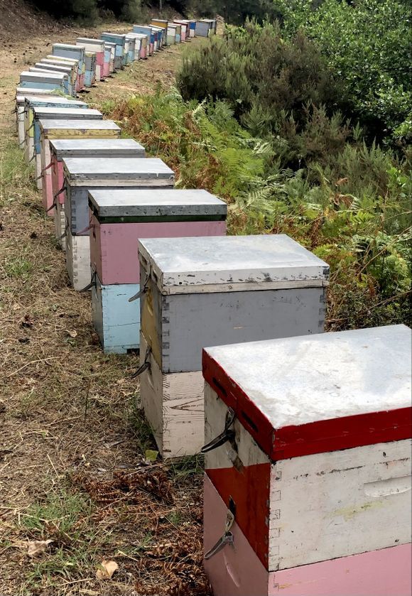 Beehives in Thassos