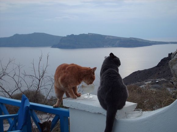 Enjoying a breakfast of Greek Yogurt overlooking the caldera in Santorini