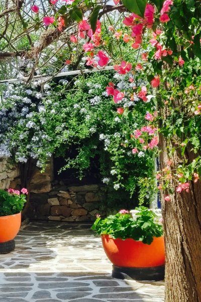 Courtyard in Naoussa Town