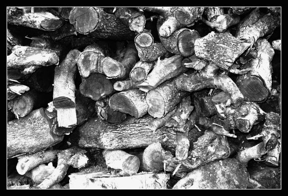 Log Pile in Villa Garden, Processed using Silver FX...