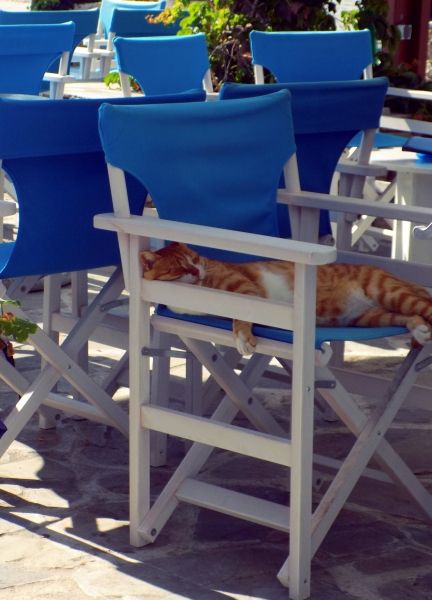 Lazy afternoon in Naxos