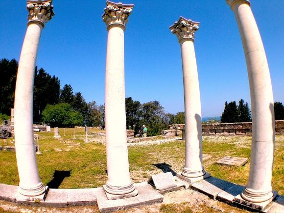 The columns