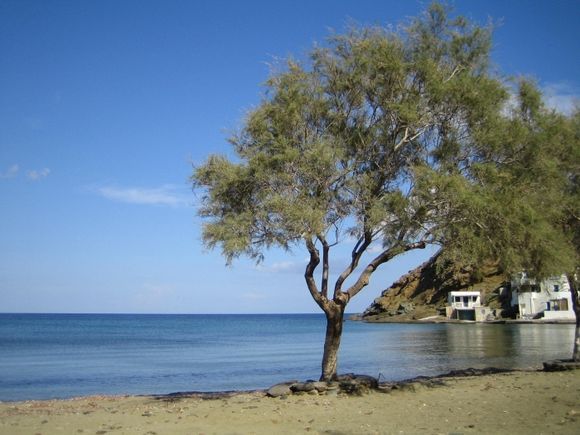Beach of Rocharis near Panormou (Tinos)