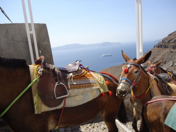 Fira, SantoriniFira, 