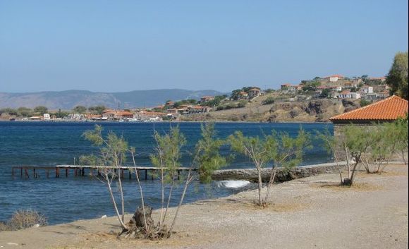 08-09-2012  Lesbos: Little trees on  the beach and view on Molyvos