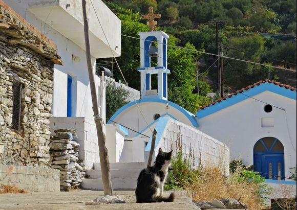 11-09-2018 Ikaria: Chrysomilia  Cat looking at the church