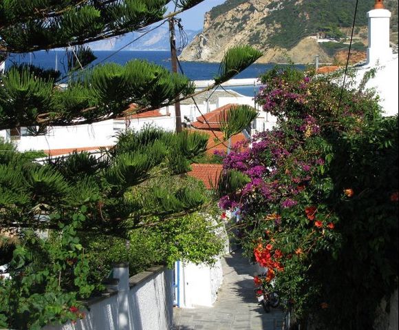 17-09-2008  Skopelos:  View in Skopelos town