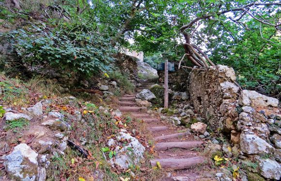13-09-2021 Mily: Wooden stairs in the gorge of Mily 
