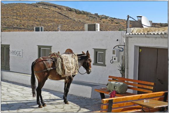 13-09-2022 Syros: Ano Syros ............Waiting for the bus ;-)