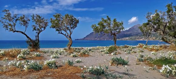 26-09-2023 Crete: Plakias Beach