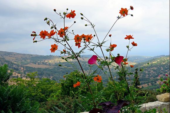 08-09-2023 Crete: Argiroupoli ............View near the town of Argiroupoli