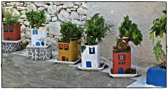 10-09-2019 Samos: Pythagorio ...... Cheerful flowerpots  :-)