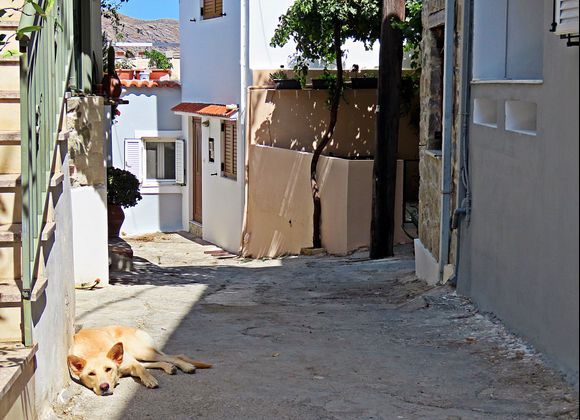 17-09-2023 Crete: Siesta time in Melambes a smal village on Crete