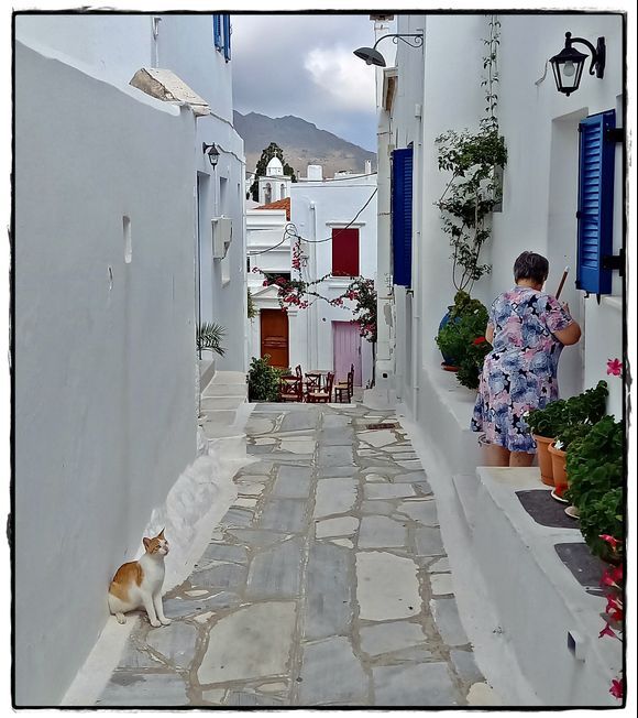03-09-2022 Tinos: Pyrgos ........Cleaning up the street while the cat is watching