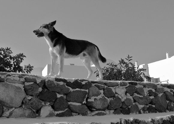 Oia, SantoriniOia, 