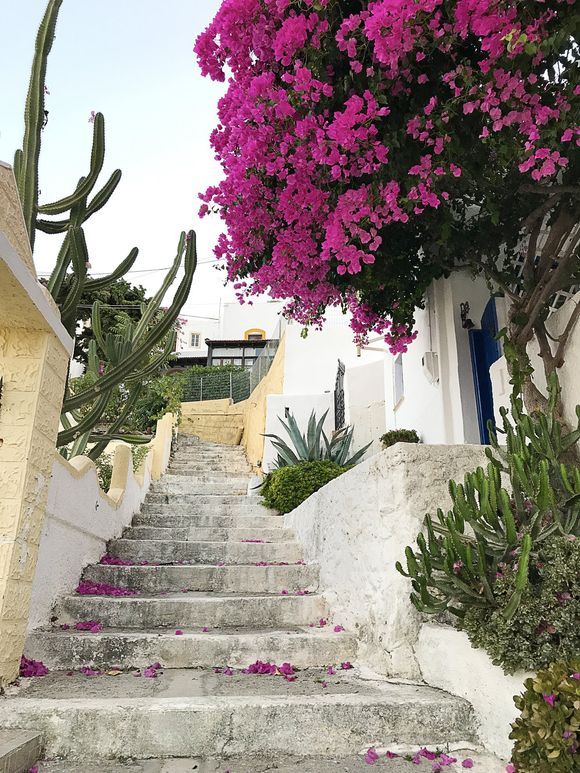 Greek steps