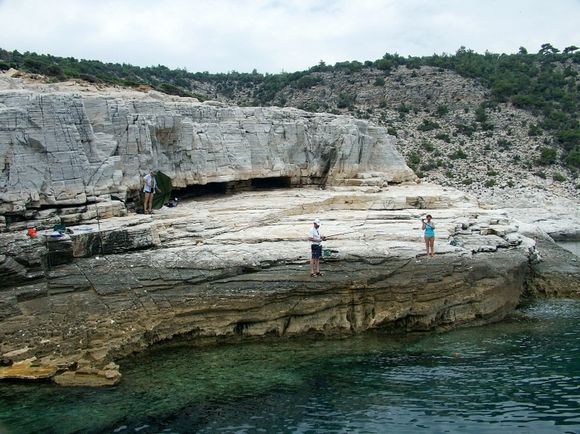 Natural Pool