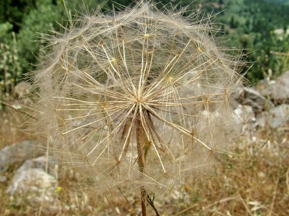 Lefkada