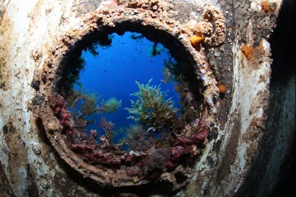 Apollonia VI shipwreck. The cargo vessel built in 1955 hit the reef Tripiti (Makronisos near Lavrio port) the 10th of June 1980.