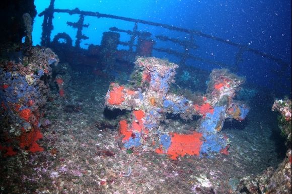 The cargo vessel Apollonia VI built in 1955 hit the reef the 10th of June 1980. Today it offers a very nice dive to both novice and advanced scuba divers. Two of the biggest parts of the ship (the bow and the stern) are lying in relatively shallow water (18-24 m).