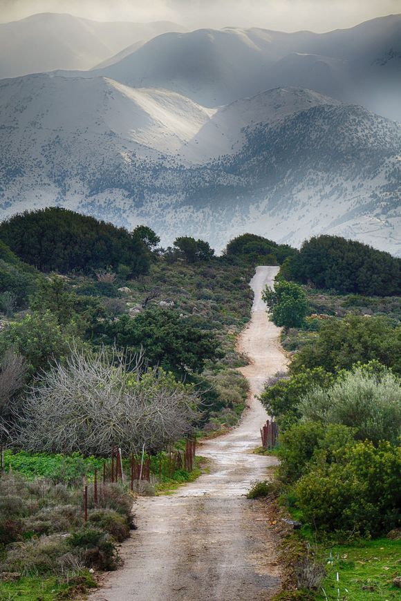 A dirt road leads the eye into the snow capped White Mountains in the distance.