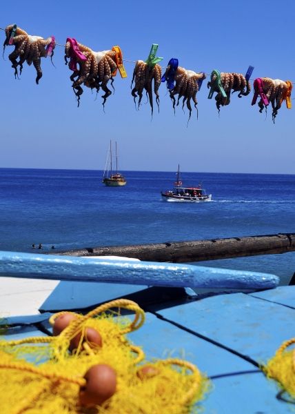 Octopuses drying in the sun by the sea in Plaka, Agios Nikolaos, Crete
