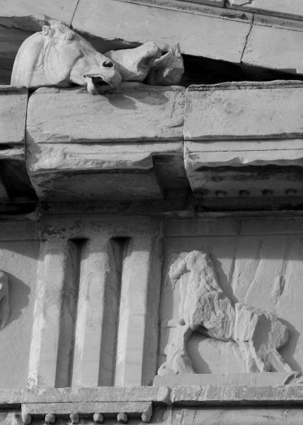 Head of a horse of Selene\'s Chariot on the eastern pediment of the Parthenon.