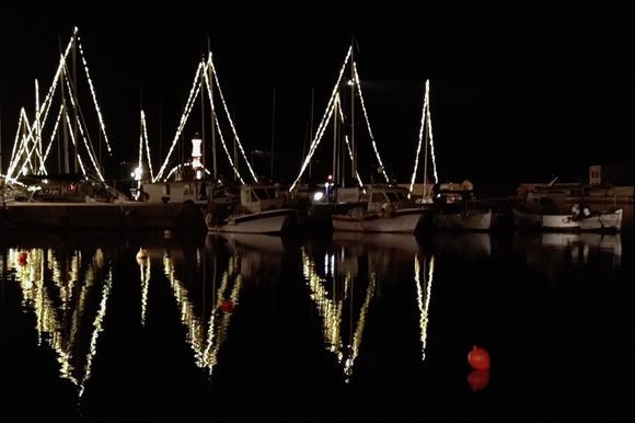 Harbor decked out for the holidays.