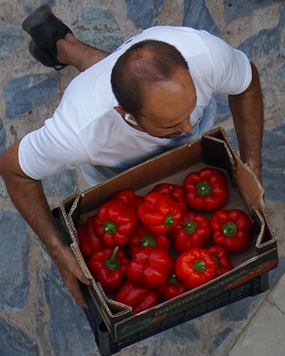 Fresh delivery - a delivery man carries fresh peppers to a restaurant in Agios Nikolaos.