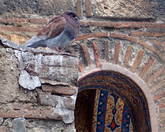 A pigeon rests above some of the beautiful mosaic details on the Church of Panagia Kapnikarea, one of the oldest churches in Athens located on  Ermou Street .