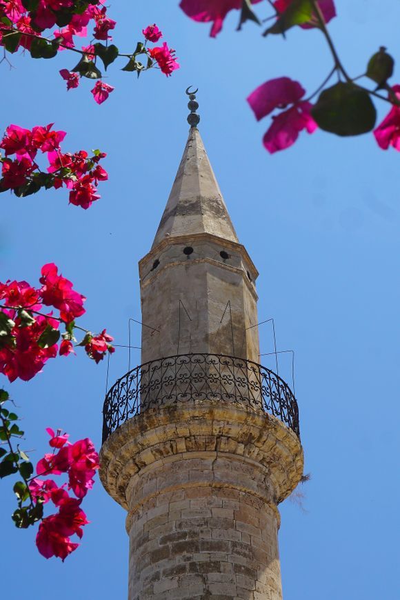 A view through bougainvillea blossoms of the Achmet Aga Minaret in Chania's Hatzimichaly Daliani Street 