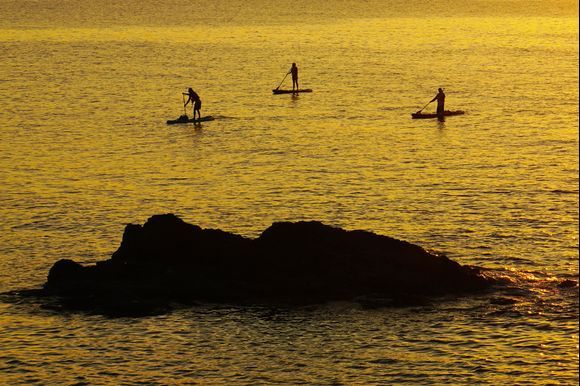 Paddling silhouettes.