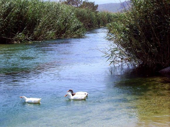 Koiliaris River