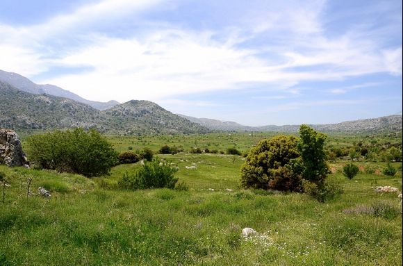 Cretan Spring at Katharo Plateau