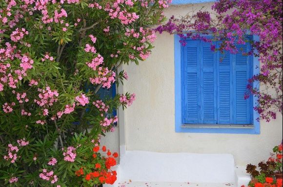 Blue Window with Oleander