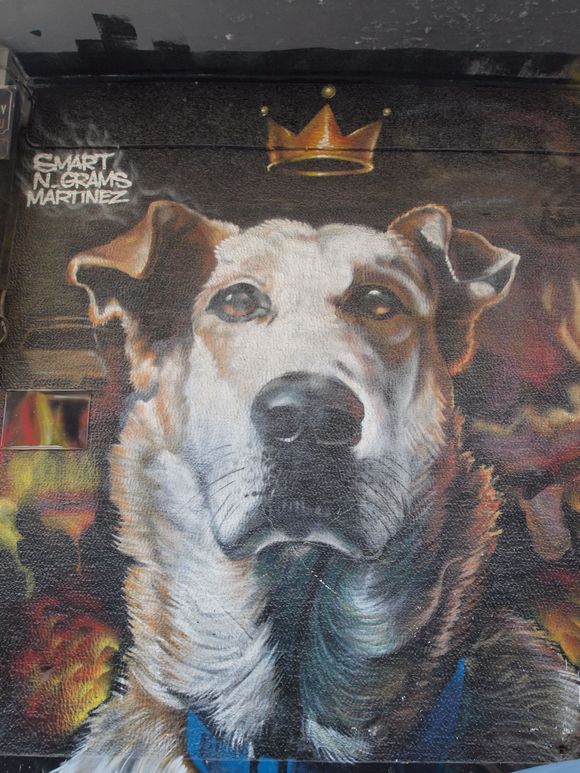 This is Loukanikos. A stray dog that lived his whole life in the streets of Athens. He became really famous, an actual urban figure, during the years of the Economic crises when he was photographed in anti-austerity demonstrations taking the part of the demonstrators and barking at the police. Everyone loved him and after his death a huge portrait mural was painted as an homage to this true Athenian!    
His death was even covered by the BBC!
https://www.bbc.com/news/world-europe-29565725