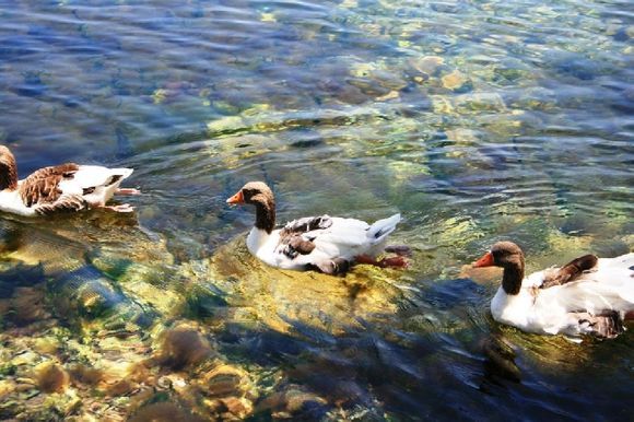 somewhere,near melissani lake