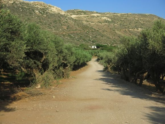 road to ancient Falassarna