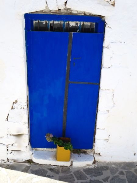 Blue door and yellow flower pot