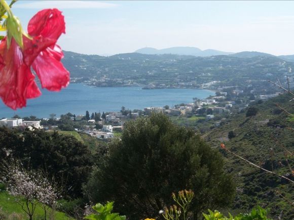 Alinda Bay, Leros in Spring (March 2011) - the flowers starting to appear
