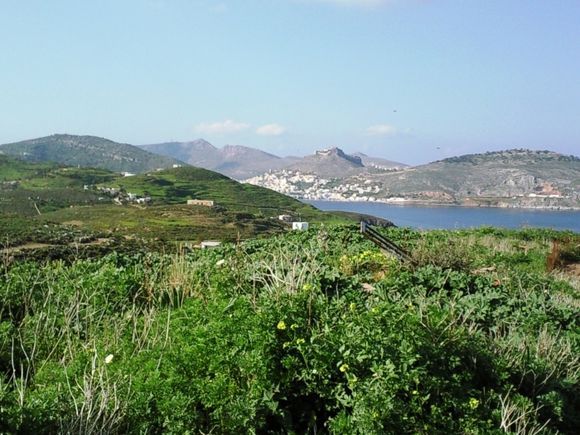 What a green island Leros is at this time of year... (February 2011)