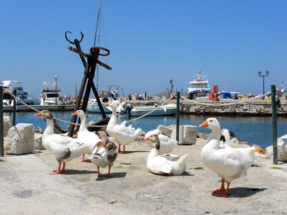 securities at the port