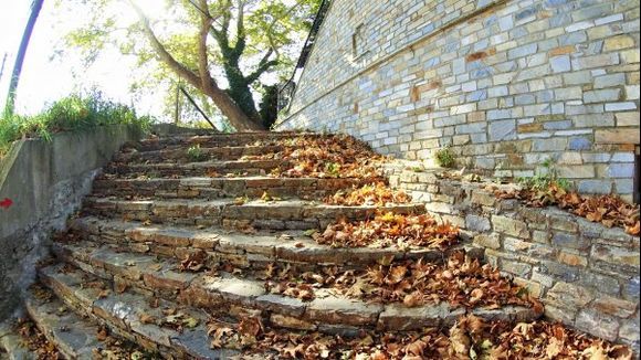 leafy stairs