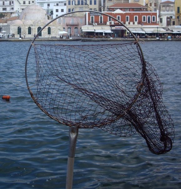 The mosque into the net